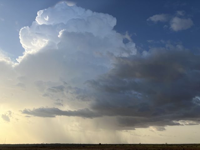 Saison des pluies